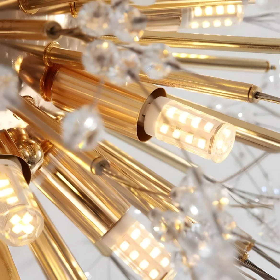 DANDELION - Image 14