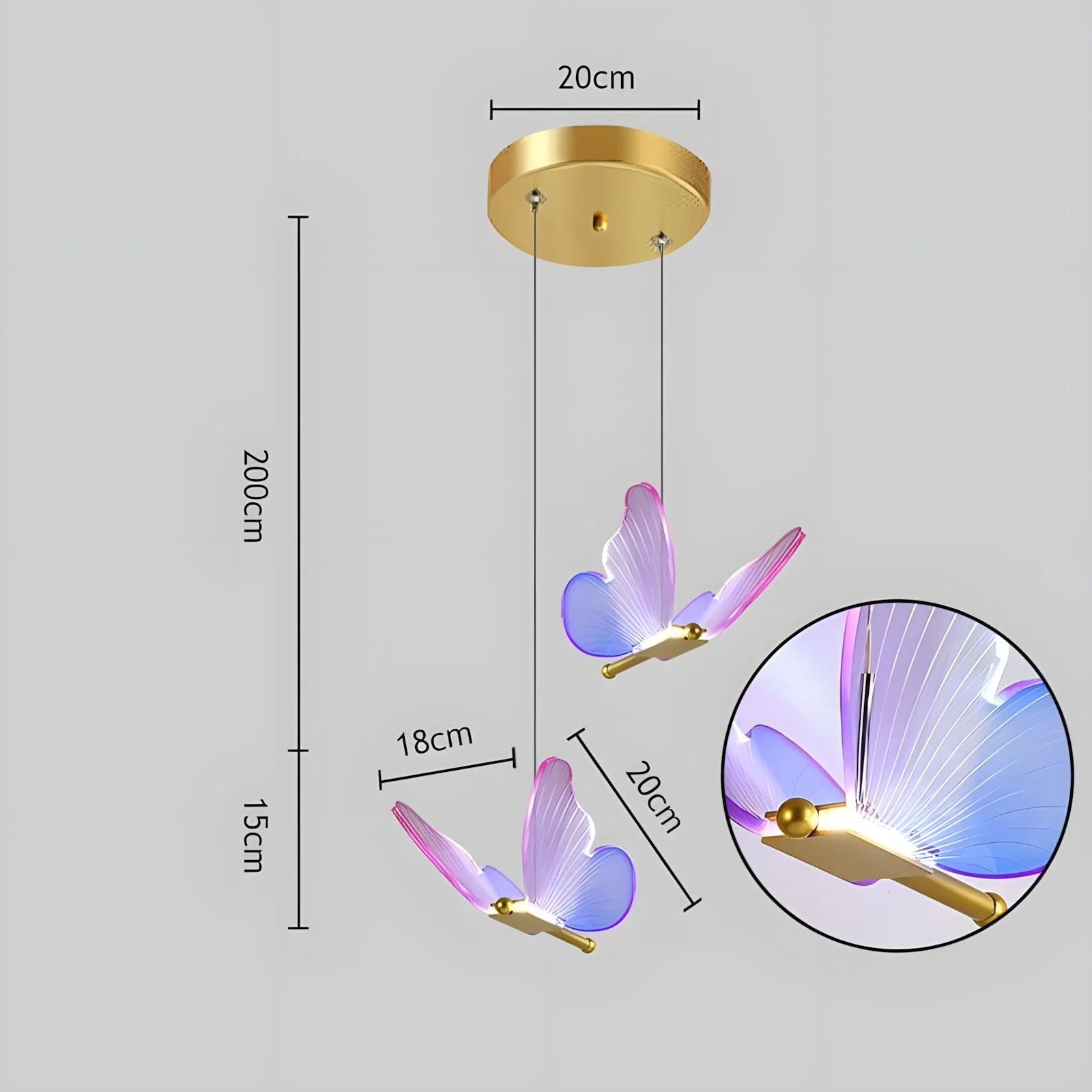 WINGS (Open Box) - Image 23