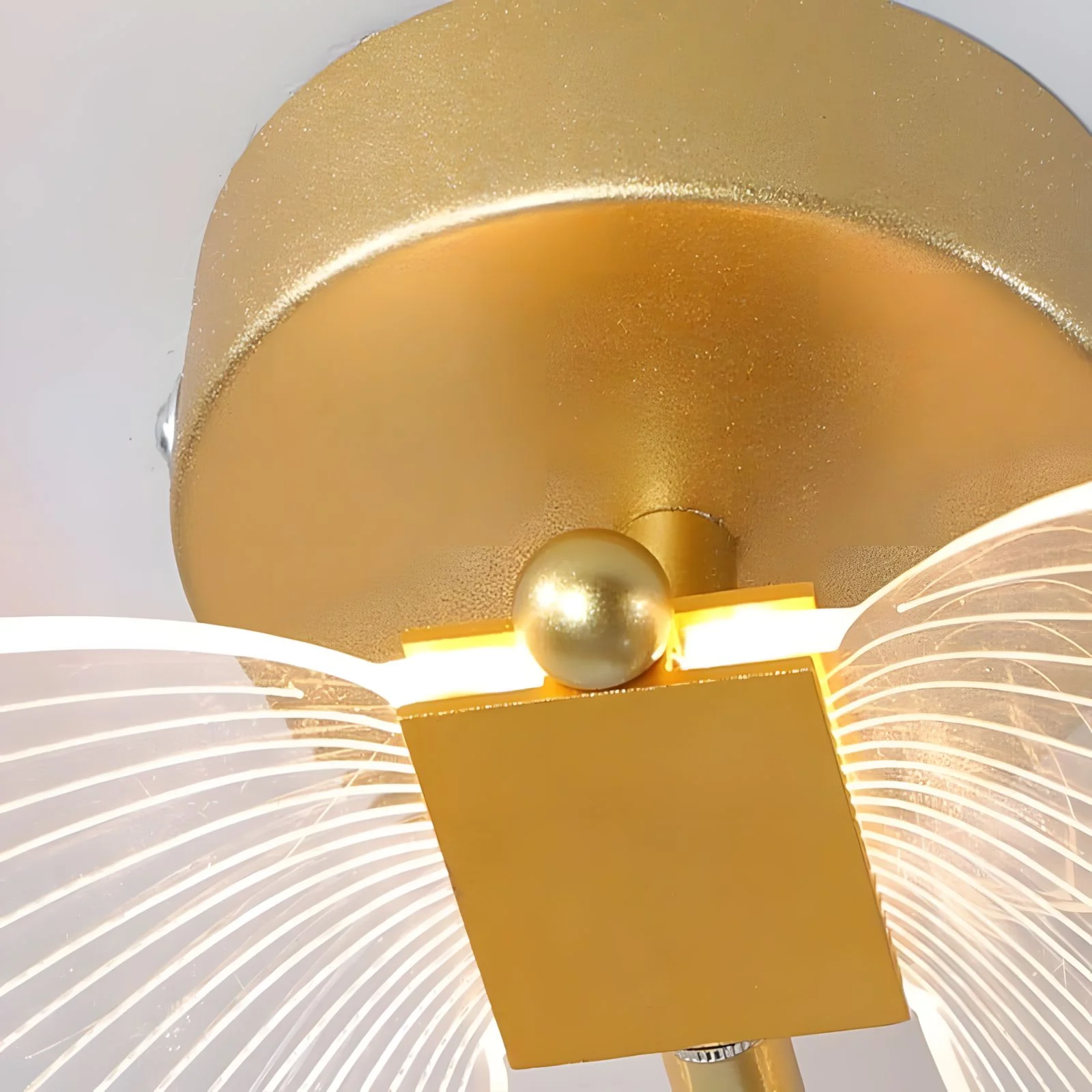 WINGS (Open Box) - Image 34