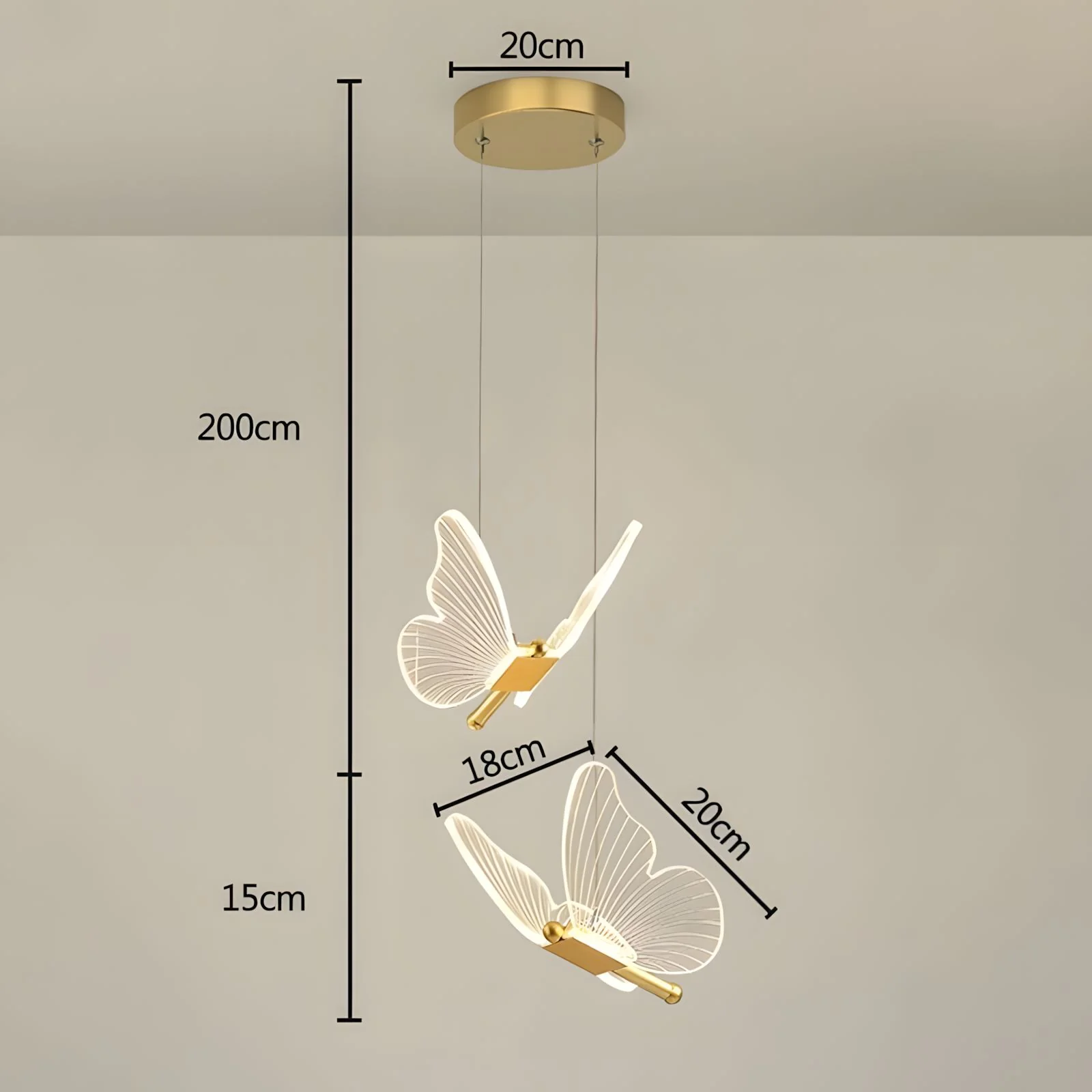 WINGS (Open Box) - Image 5